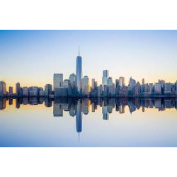 NEW YORK & HAMPTONS