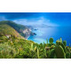 TOUR DELLE ISOLE EOLIE dal 3 al 10 Luglio 2025
