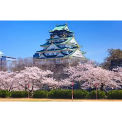 DREAM COLLECTION EXPO OSAKA: Tour del Giappone Verso il Sol Levante - dal 05/10/25 al 15/10/25