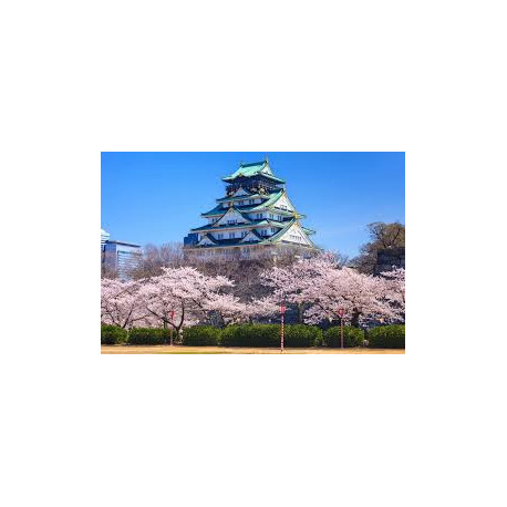 DREAM COLLECTION EXPO OSAKA: Tour del Giappone Verso il Sol Levante - dal 05/10/25 al 15/10/25