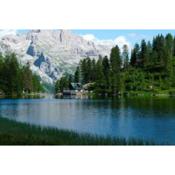 PINZOLO - HOTEL DOLOMITI - 24/31 AGOSTO