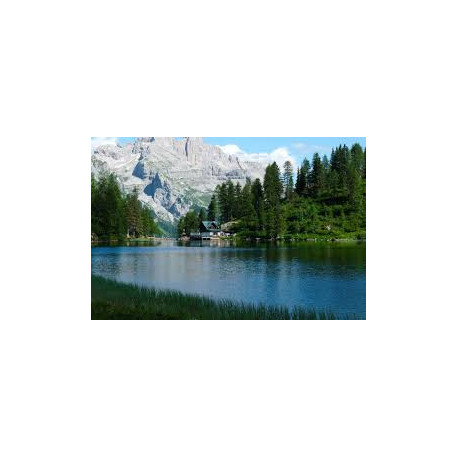 PINZOLO - HOTEL DOLOMITI - 24/31 AGOSTO