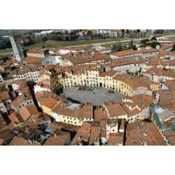 Lucca e Vinci - Domenica 19 Ottobre