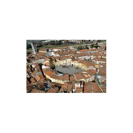 Lucca e Vinci - Domenica 19 Ottobre