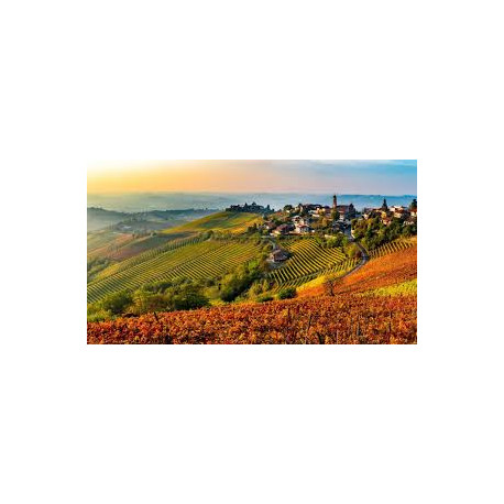 AUTUNNO NELLE LANGHE - Domenica 2 Novembre 2025